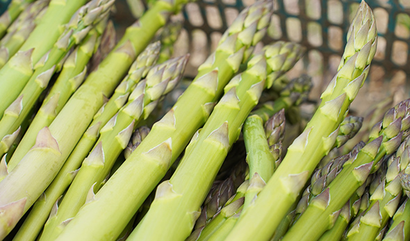北海道産グリーンアスパラ