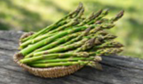 北海道産グリーンアスパラ